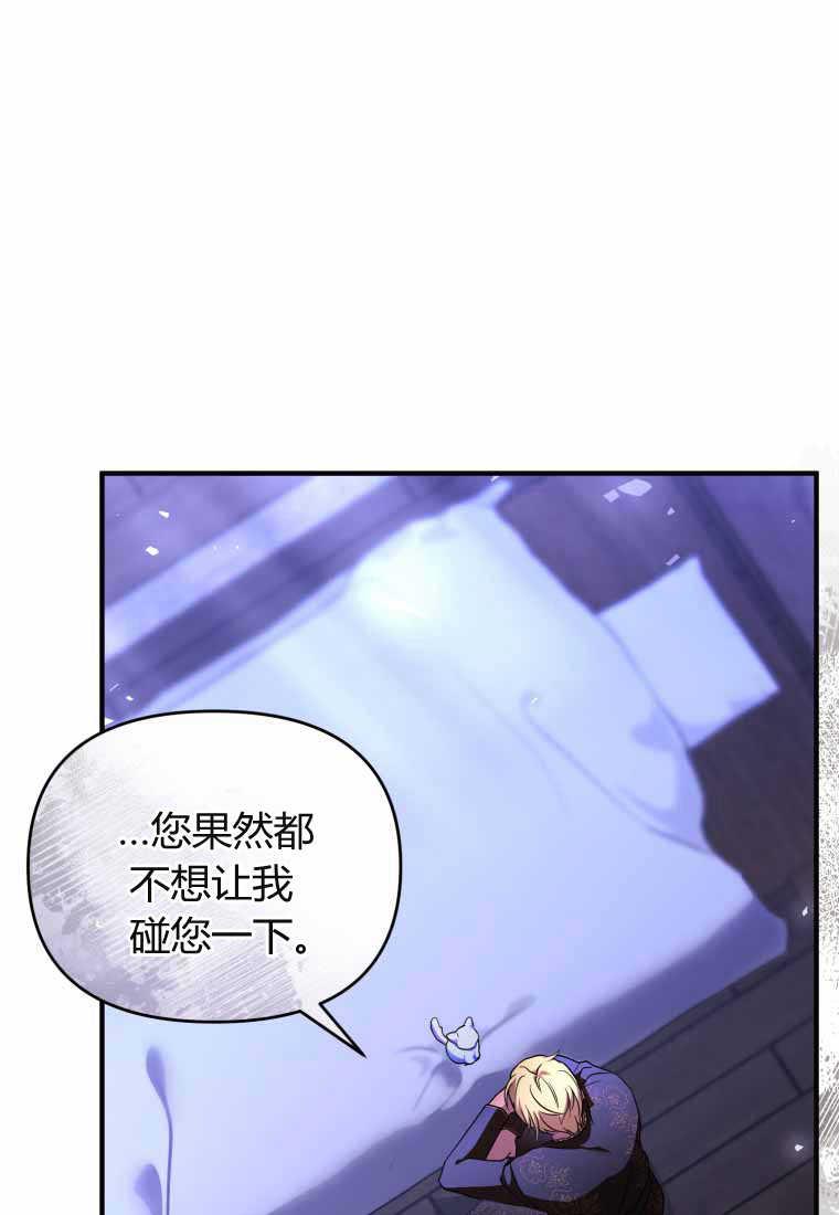 成为苏尔坦珍爱的猫咪 第40话 第65页