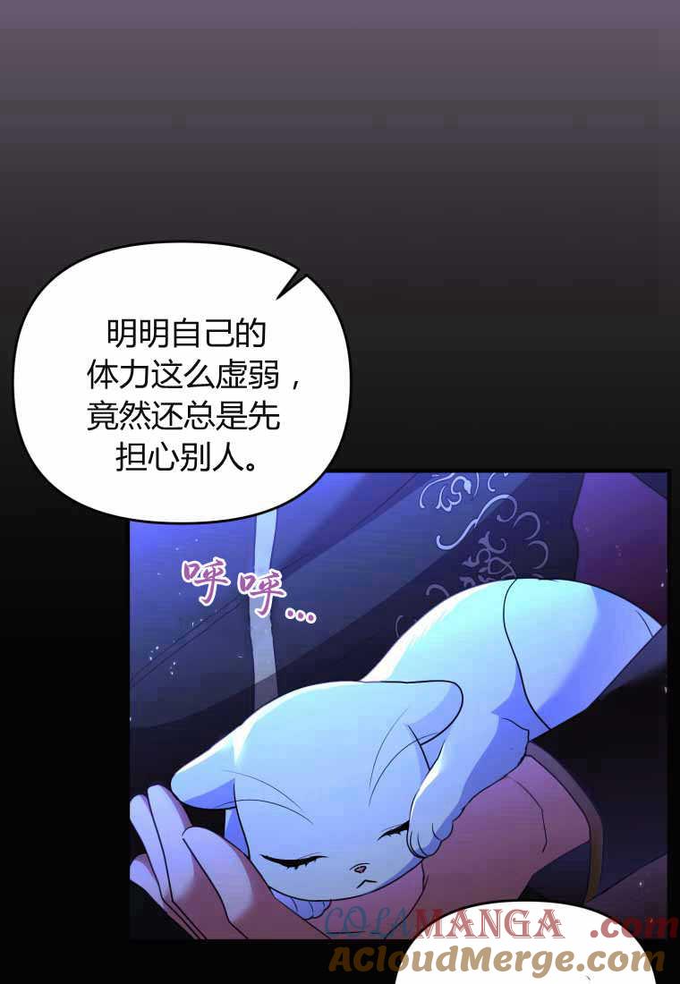 成为苏尔坦珍爱的猫咪 第40话 第25页