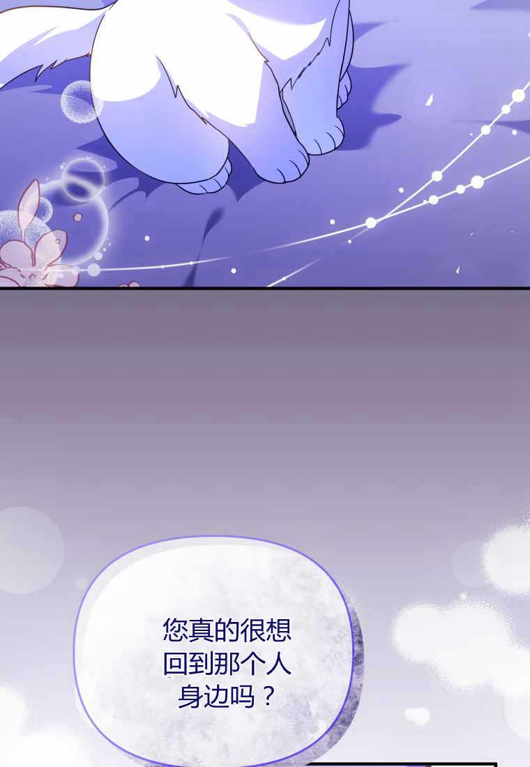 成为苏尔坦珍爱的猫咪 第40话 第62页