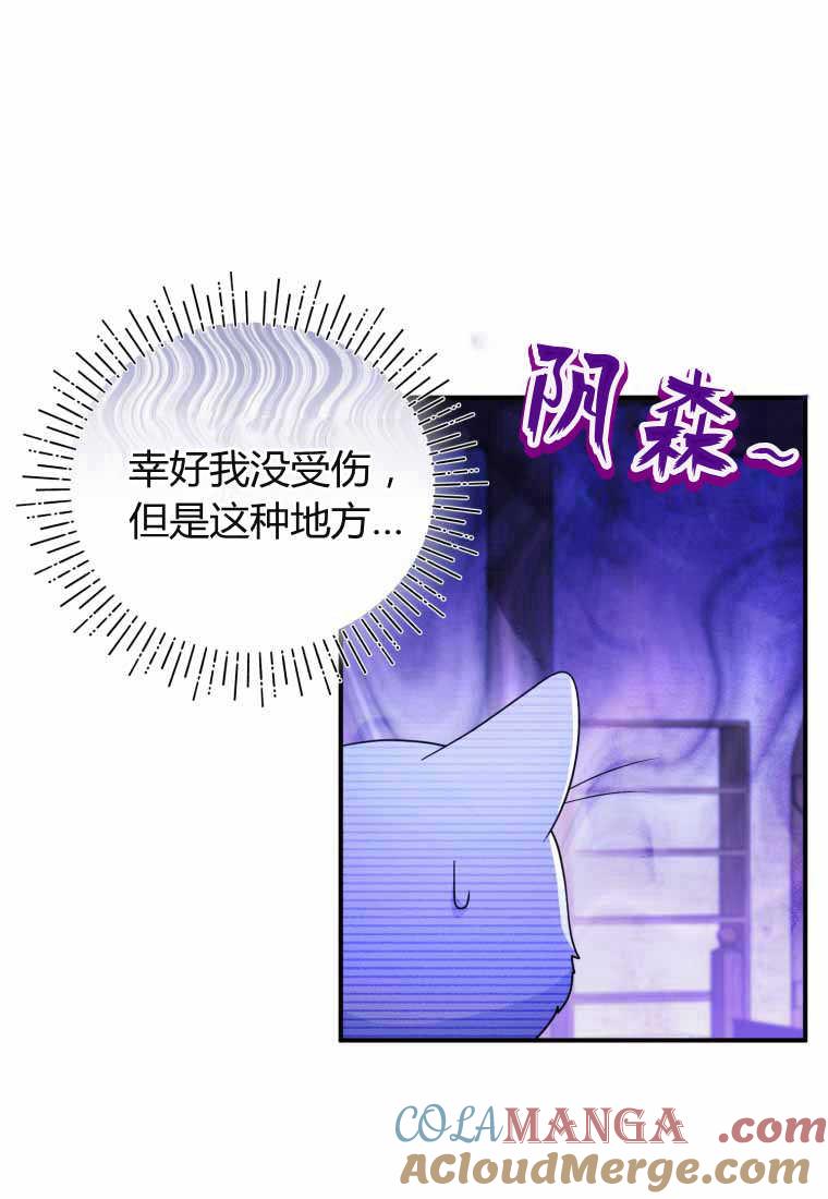 成为苏尔坦珍爱的猫咪 第40话 第34页