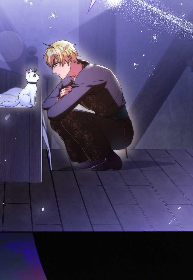 成为苏尔坦珍爱的猫咪 第40话 第57页