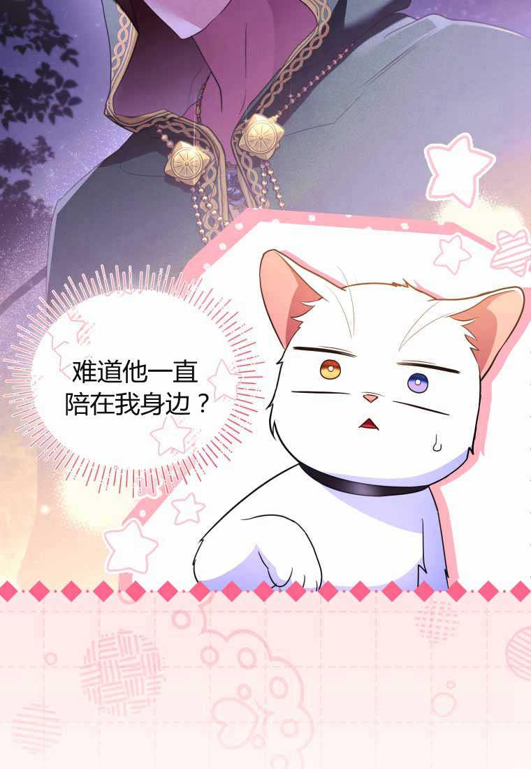 成为苏尔坦珍爱的猫咪 第40话 第39页