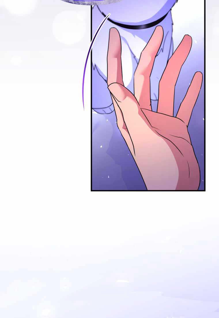 成为苏尔坦珍爱的猫咪 第40话 第63页