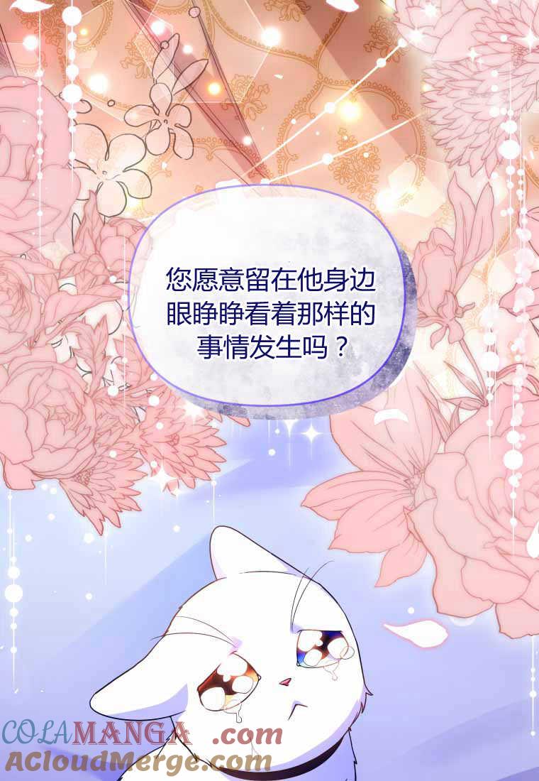 成为苏尔坦珍爱的猫咪 第40话 第61页