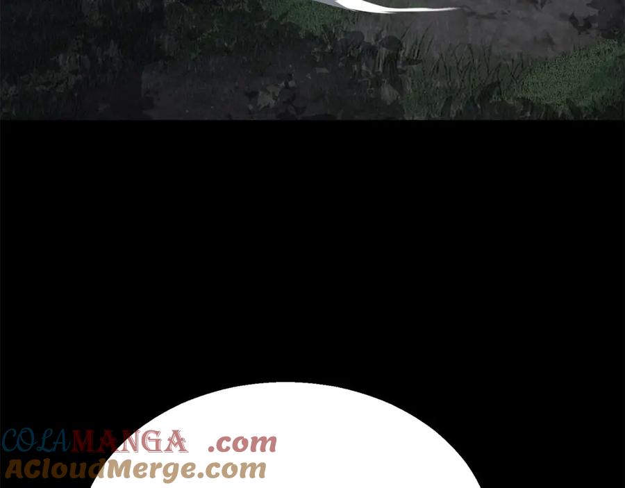 死灵法师：重生的我全技能精通 - 第53话 被亲情背叛的精灵 - 第177张图