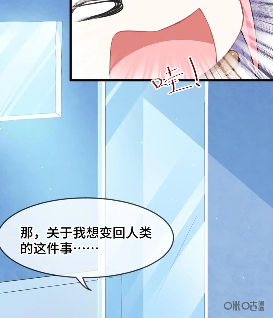 《我的重生日志》第15话：诚实是人类的基本，作死也是 第6页