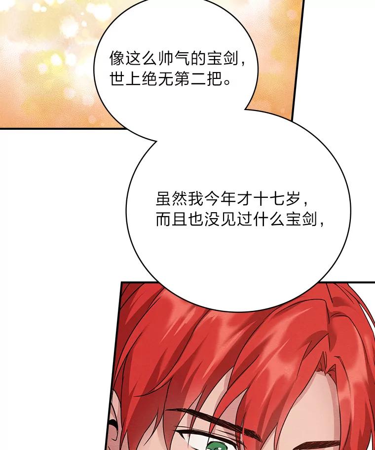 《找到我爸的儿子》14.哥哥大作战 第34页