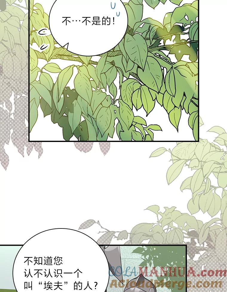 《找到我爸的儿子》1.私生子上门 第45页