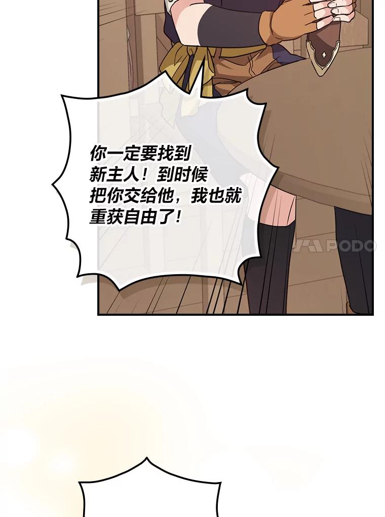 《找到我爸的儿子》22.偶遇桑西 第31页