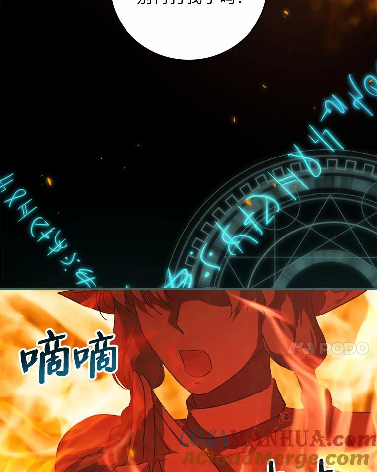 《找到我爸的儿子》25.失火现场 第85页