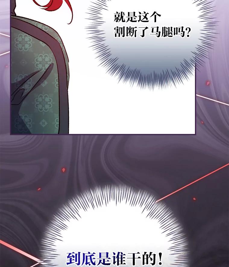 《找到我爸的儿子》30.马车遇险 第114页