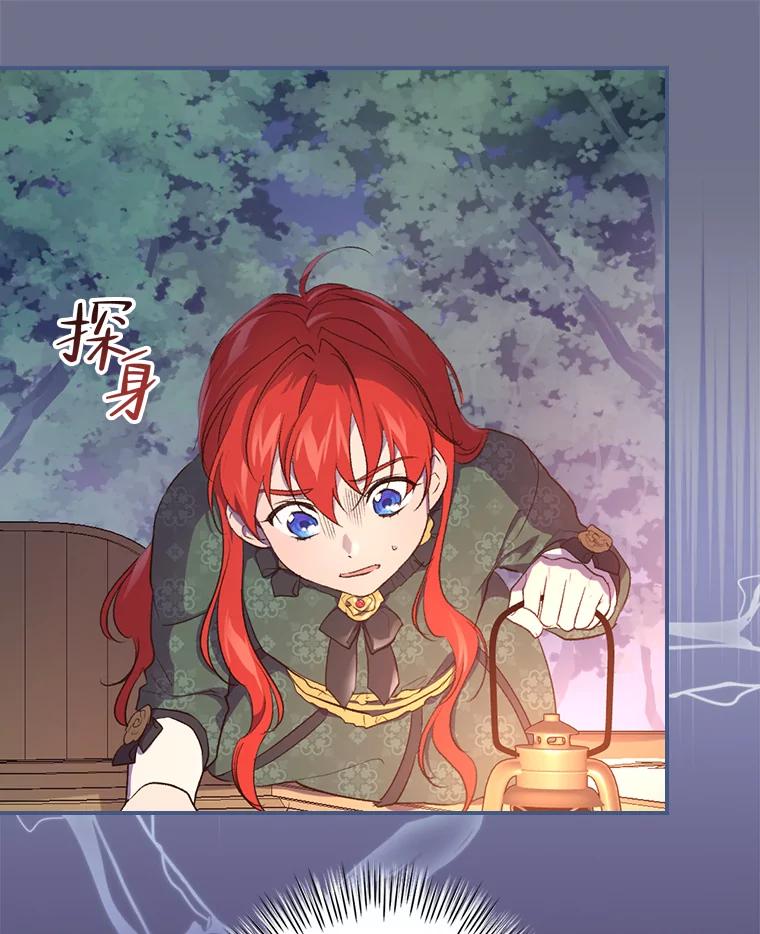 《找到我爸的儿子》31.针对性袭击 第19页