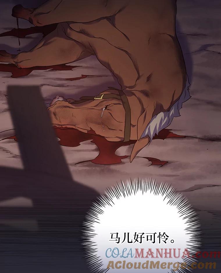 《找到我爸的儿子》31.针对性袭击 第9页