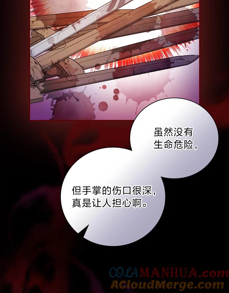 《找到我爸的儿子》38.再遇马加利斯 第25页