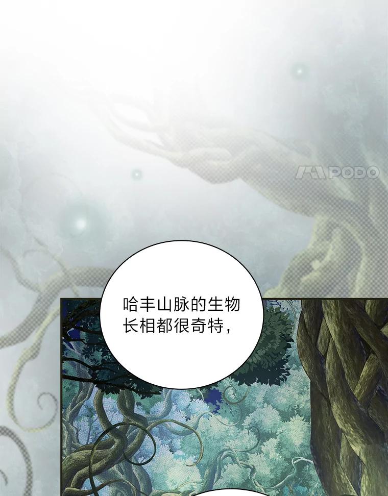 《找到我爸的儿子》47.哈丰山脉 第31页