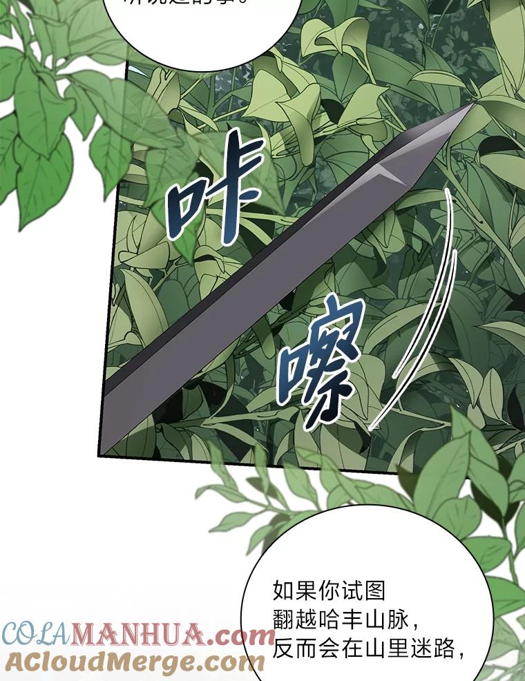《找到我爸的儿子》47.哈丰山脉 第49页