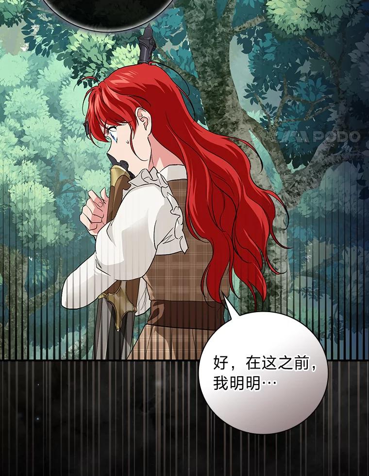 《找到我爸的儿子》47.哈丰山脉 第4页