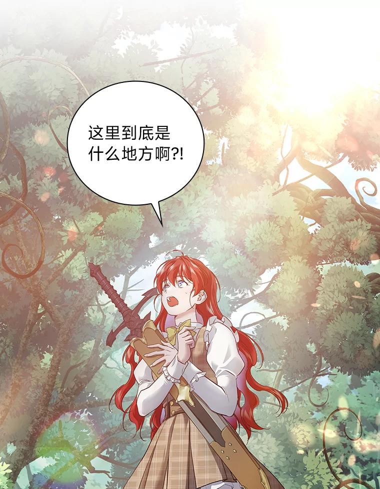 《找到我爸的儿子》47.哈丰山脉 第2页