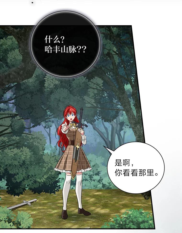 《找到我爸的儿子》47.哈丰山脉 第30页