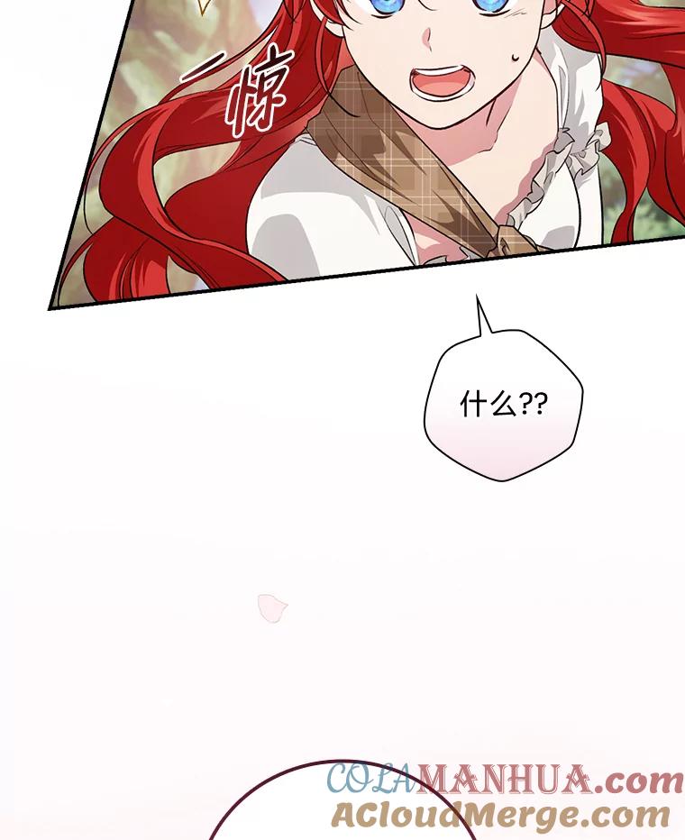《找到我爸的儿子》48.临时契约 第113页