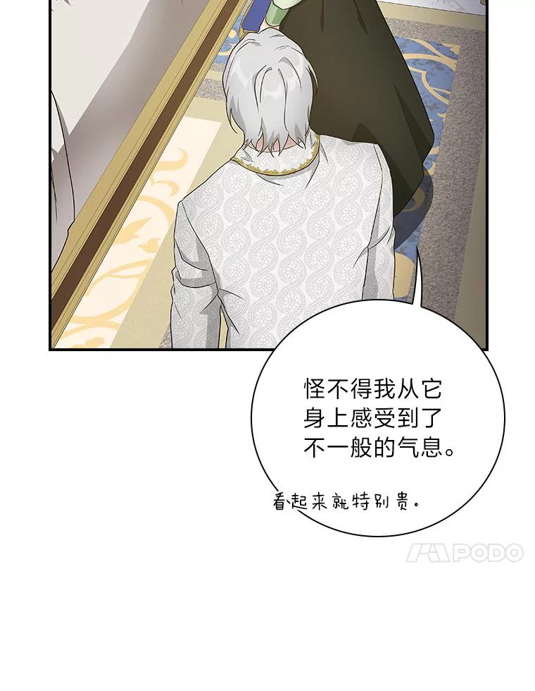 《找到我爸的儿子》4.我想回家 第20页