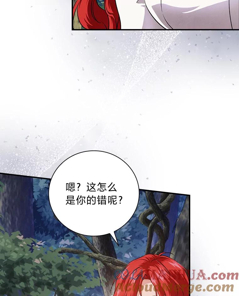 《找到我爸的儿子》50.救援人员桑西 第97页