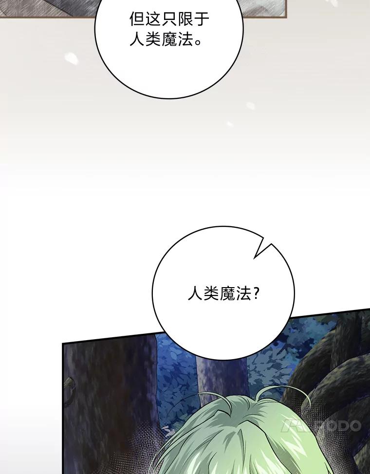 《找到我爸的儿子》50.救援人员桑西 第62页