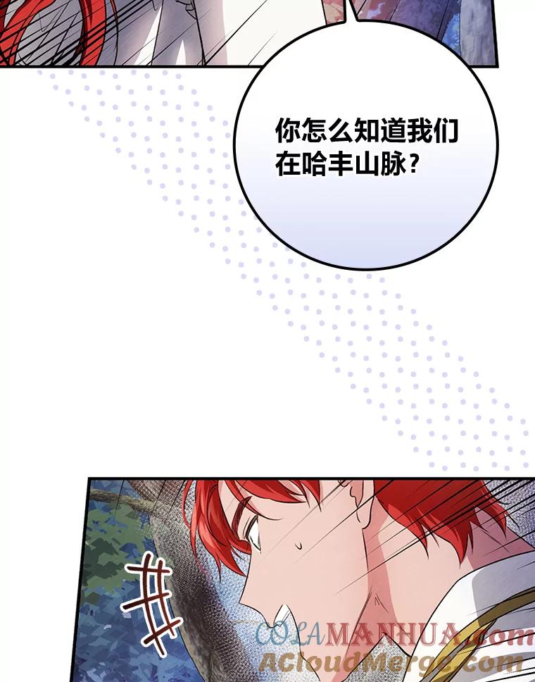 《找到我爸的儿子》50.救援人员桑西 第53页
