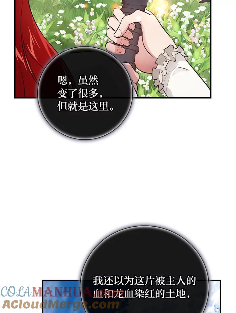 《找到我爸的儿子》52.迷路 第97页