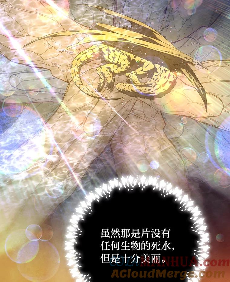 《找到我爸的儿子》53.龙的魔法 第41页
