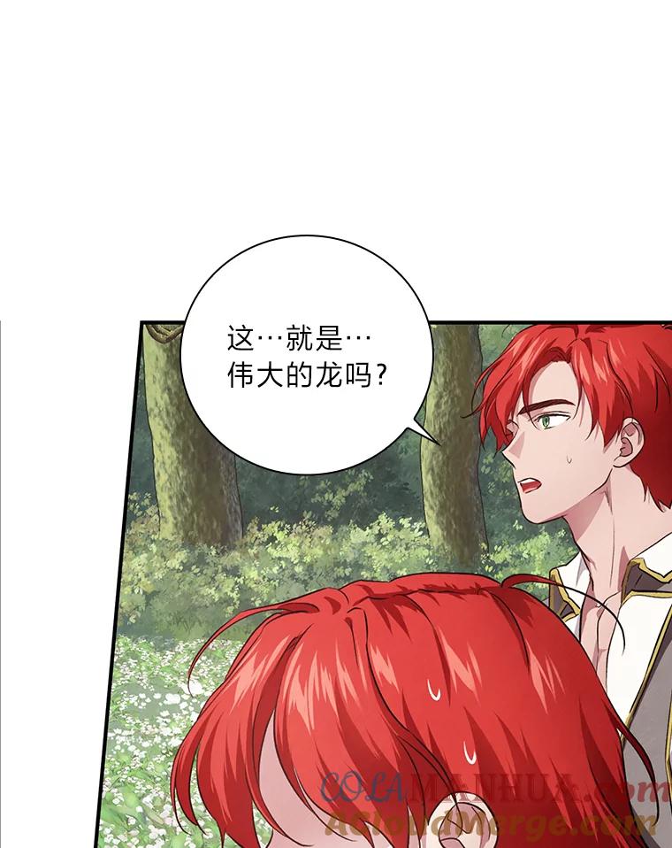 《找到我爸的儿子》53.龙的魔法 第5页