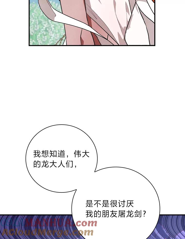 《找到我爸的儿子》53.龙的魔法 第73页