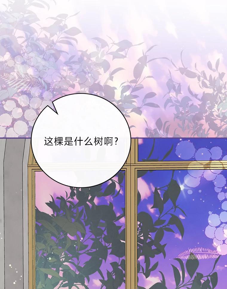 《找到我爸的儿子》63.乱点鸳鸯 第66页