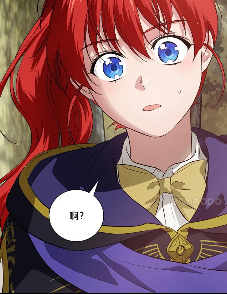 《找到我爸的儿子》66.身世传闻 第67页