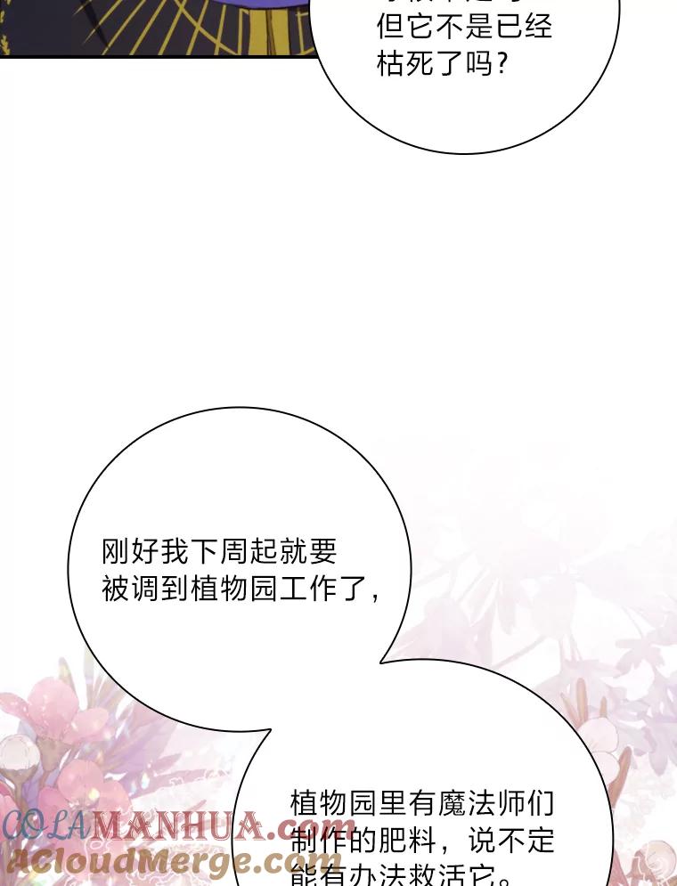 《找到我爸的儿子》71.怀疑 第9页