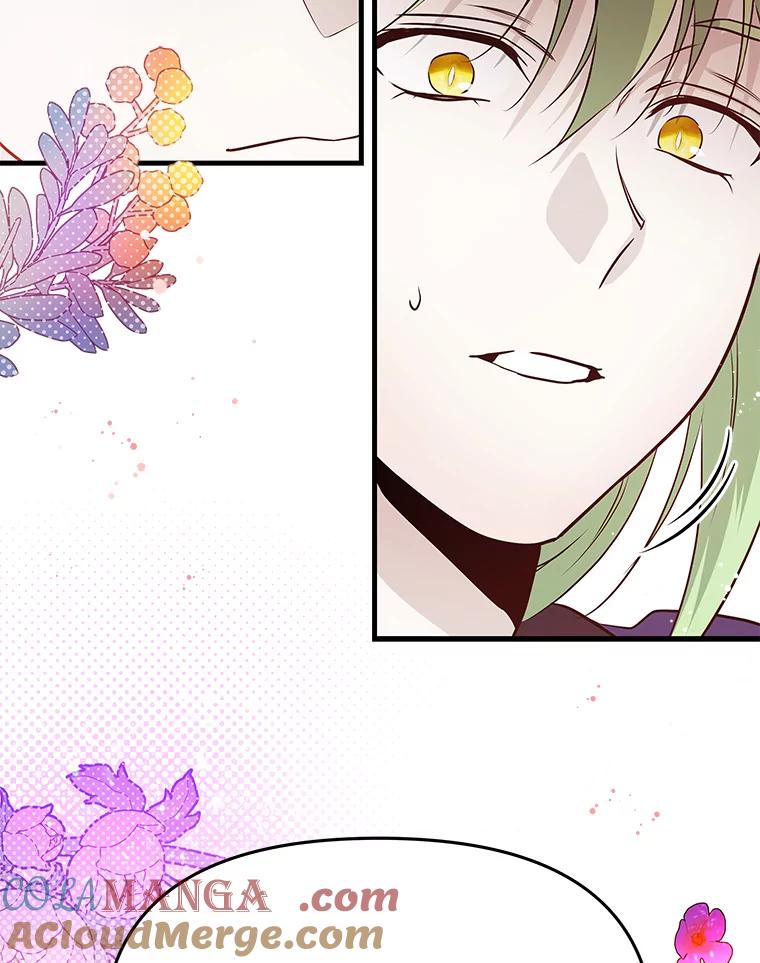 《找到我爸的儿子》73.宝石赠美人 第97页