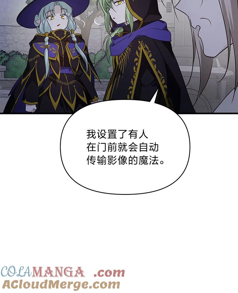 《找到我爸的儿子》75.证明的决心 第29页