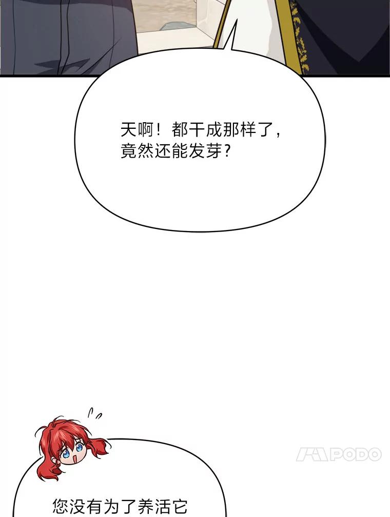 《找到我爸的儿子》83.烂尾的爱情故事 第65页