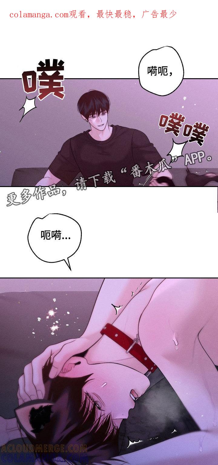 《我的救世主》第89章：【第二季】可爱 第1页