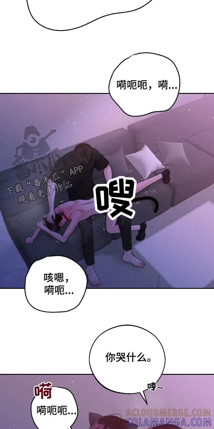 《我的救世主》第89章：【第二季】可爱 第7页