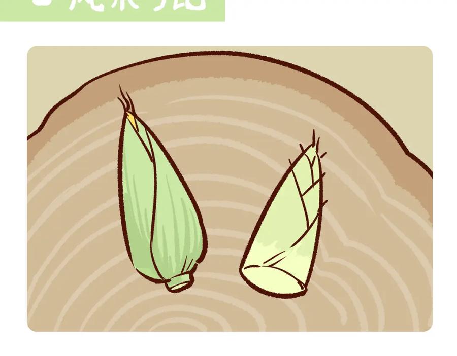 《胖达x胖达》第245话 第8页