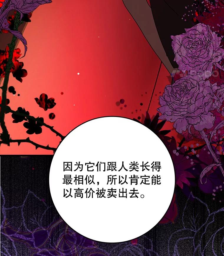 《魔王去上学》34.魔族俘虏交易 第91页