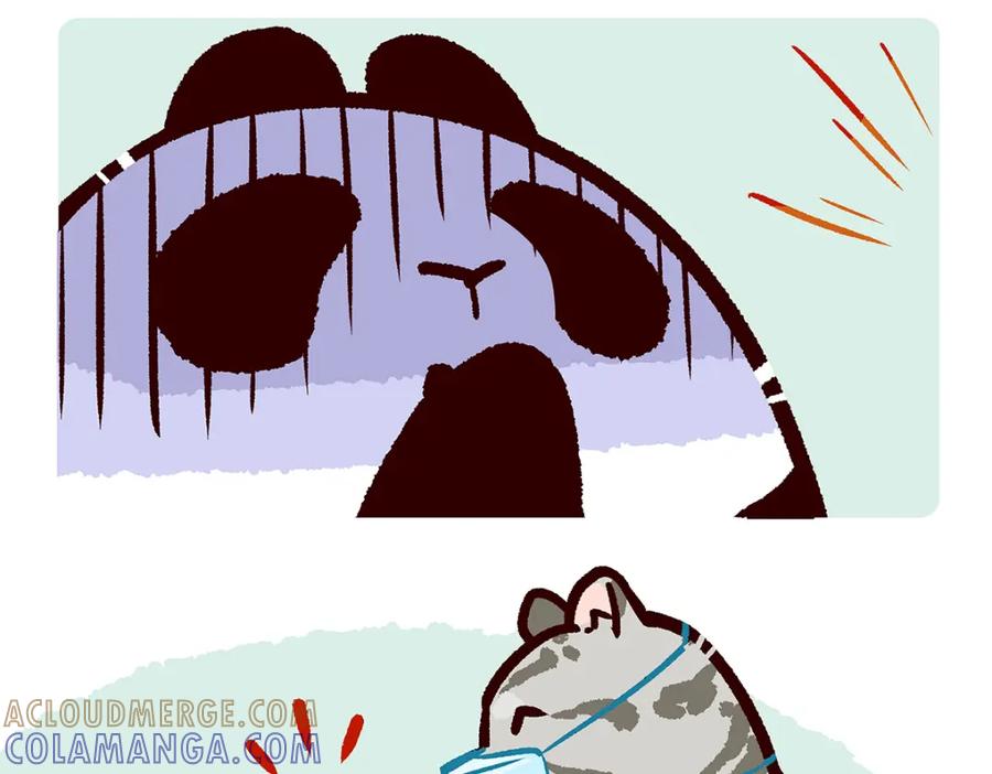 《胖达x胖达》第52话 第5页