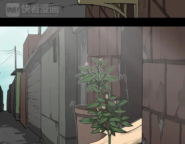 照明商店 第27话 光 第285页