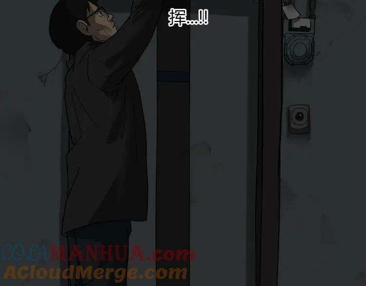 照明商店 完结篇 然后 第337页