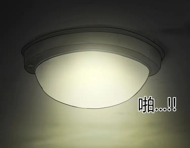 照明商店 完结篇 然后 第272页