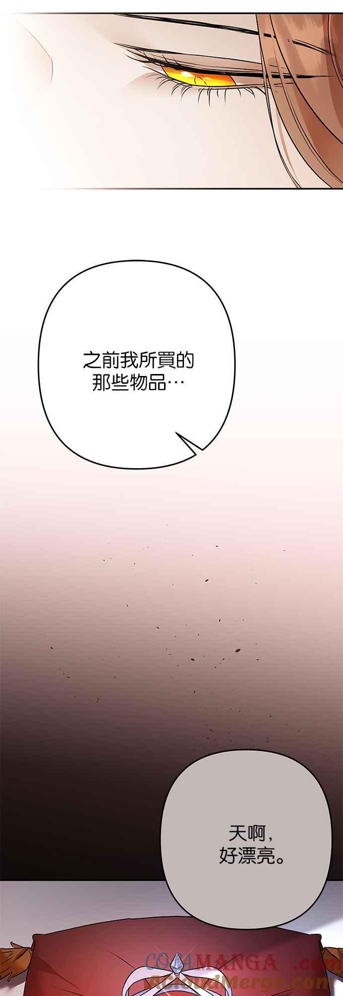 《阿加莎》[第120话] 赎罪羊的外皮 第13页