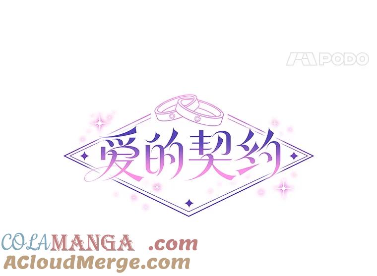 《爱的契约》30.夫妻聚会 第41页