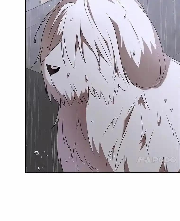 《你好？兽医先生！》58.小古历险记（2） 第108页