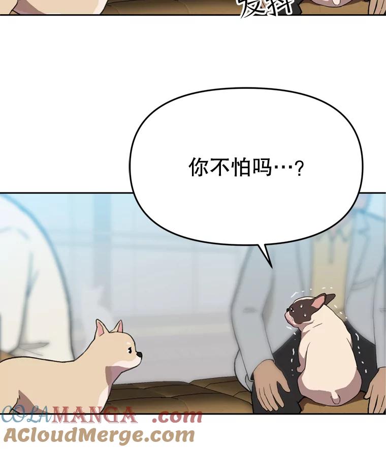 《彩虹桥守望者》99.偶遇李鹏程 第7页